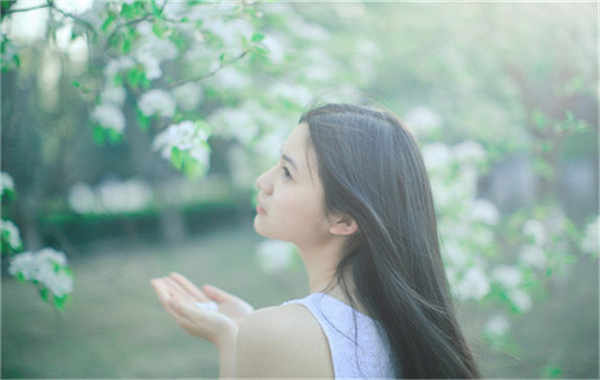 井陉矿验血查男女几周可以验(验血查男女结果图)